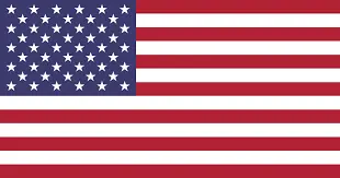 american flag-Surprise